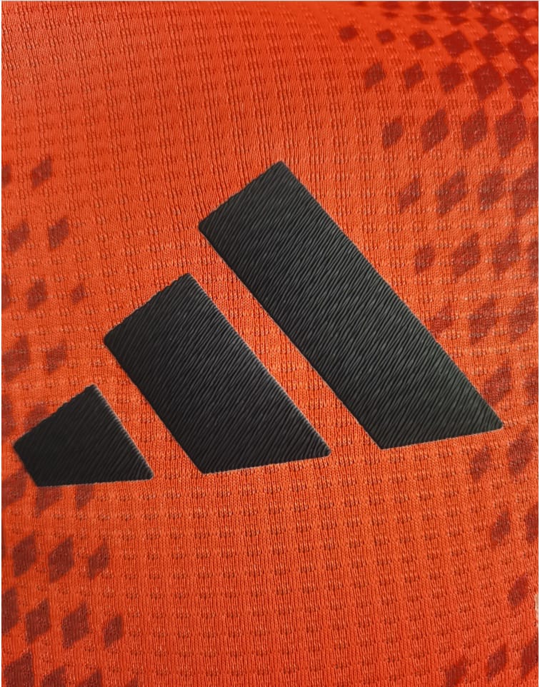 CAMISETA FC BAYERN VERSION PLAYER 24/25